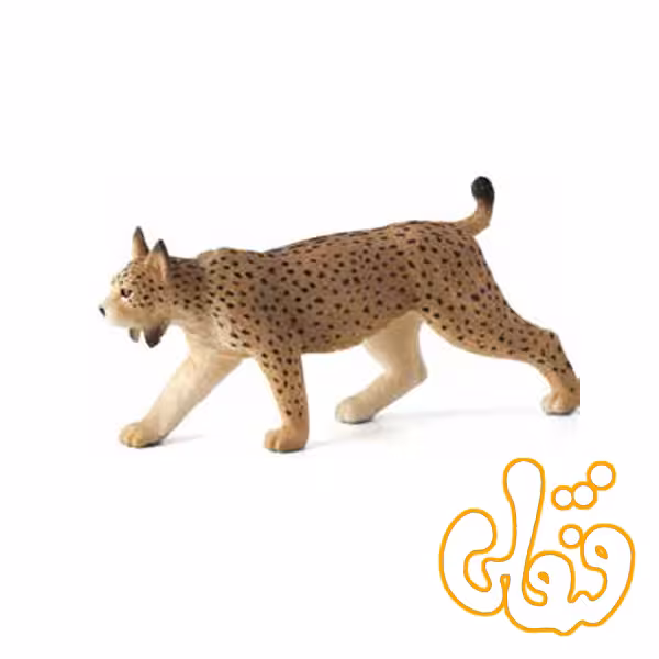 سیاه گوش ایبری Iberian Lynx 387064