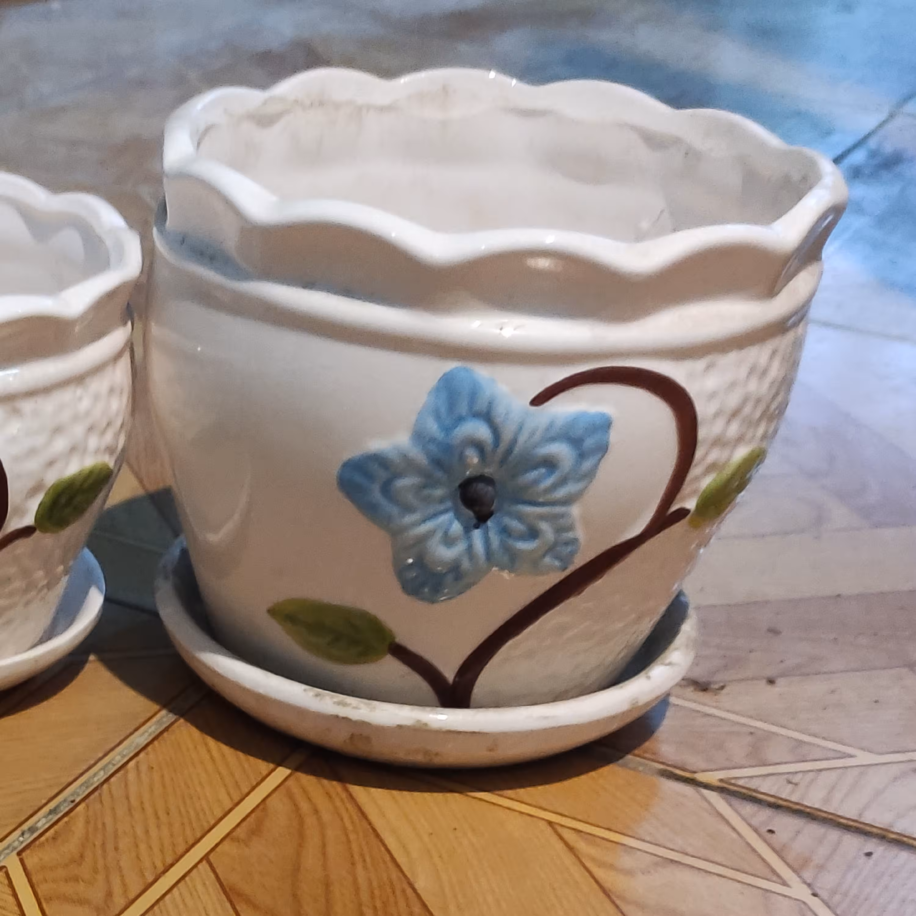 گل طبیعی گلدان سرامیکی. گلدان مناسب برای انواع گلهای اپارتمانی