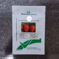 بذر گوجه فرنگی 8380