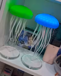 چراغ خواب عروس دریایی