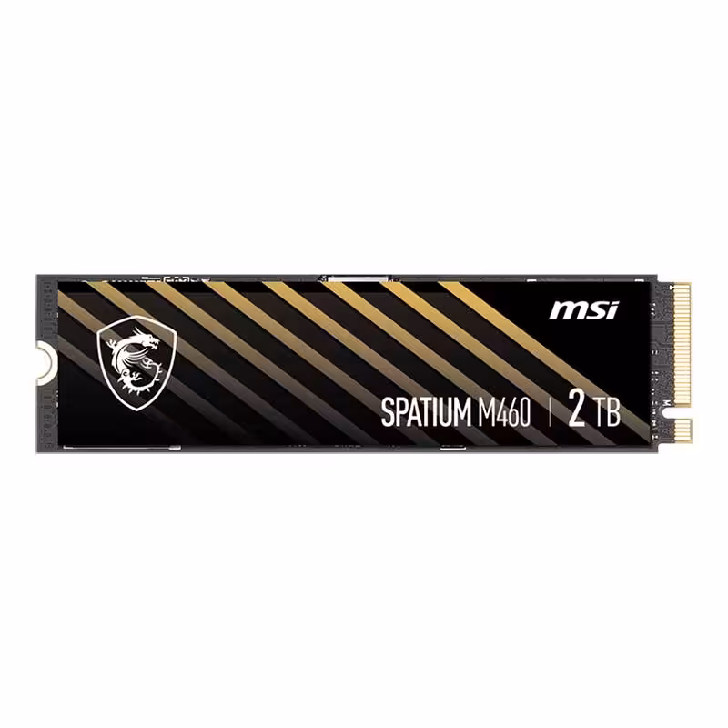 اس اس دی 2 ترابایت MSI مدل SPATIUM M460 NVME M.2