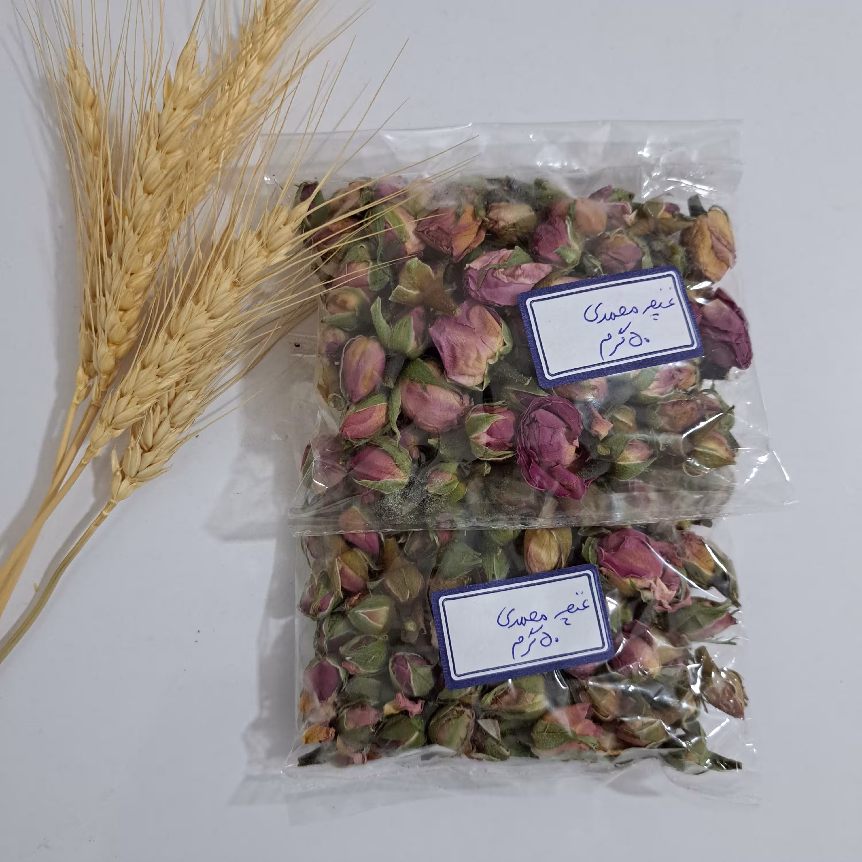 غنچه گل محمدی(باغات هرمزگان)