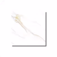 سرامیک 80*80 مات کاتیانا پراندا