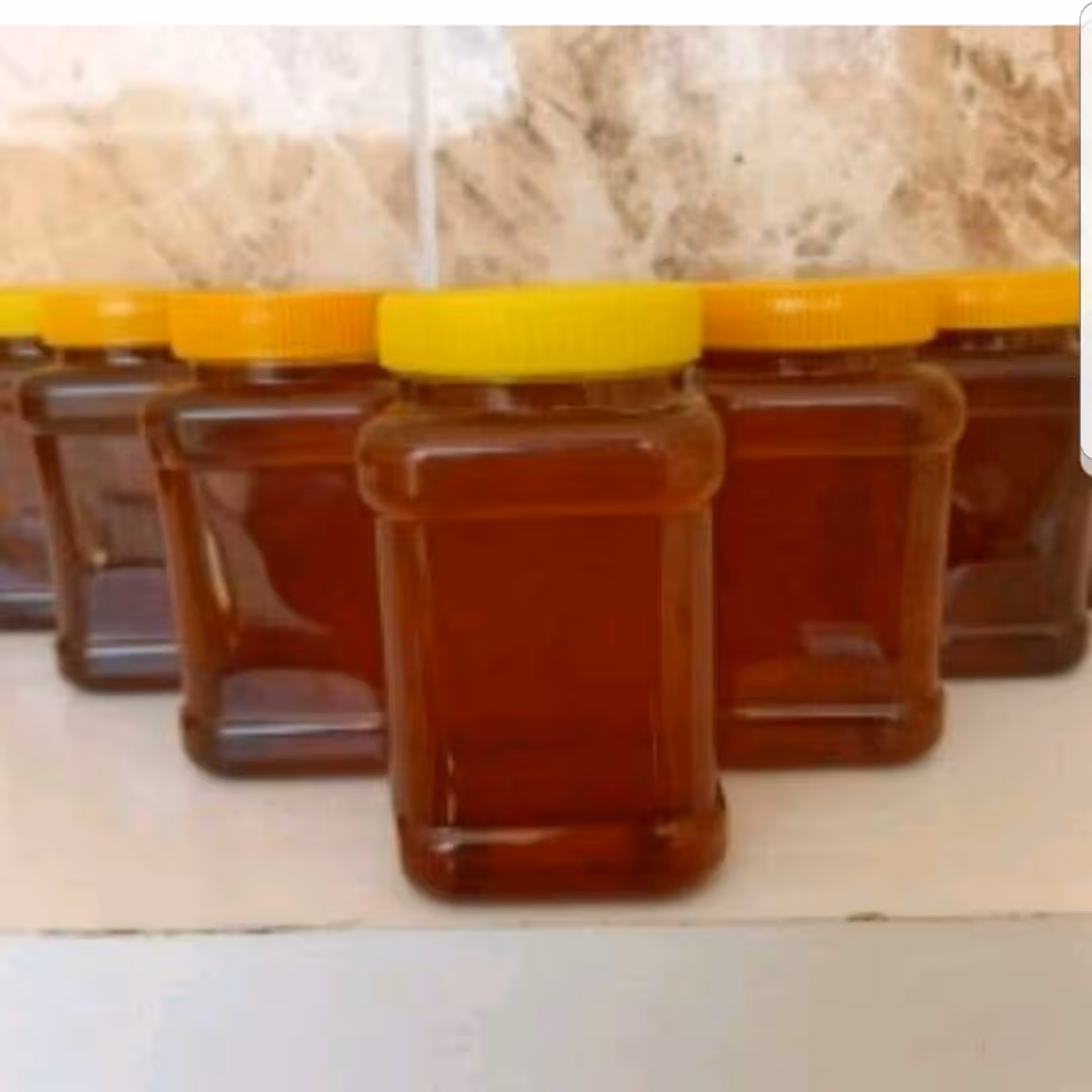 عسل جنگل (یک کیلوگرم)