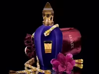 عطر ادکلن زرجف اکسنتو اصل | Xerjoff Accento 100ml