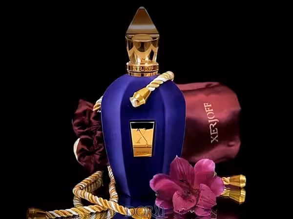عطر ادکلن زرجف اکسنتو اصل | Xerjoff Accento 100ml