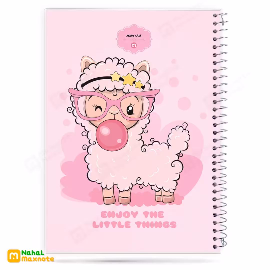 دفتر 100 برگ سیمی طلقی فانتزی کد 9114.طرح 5