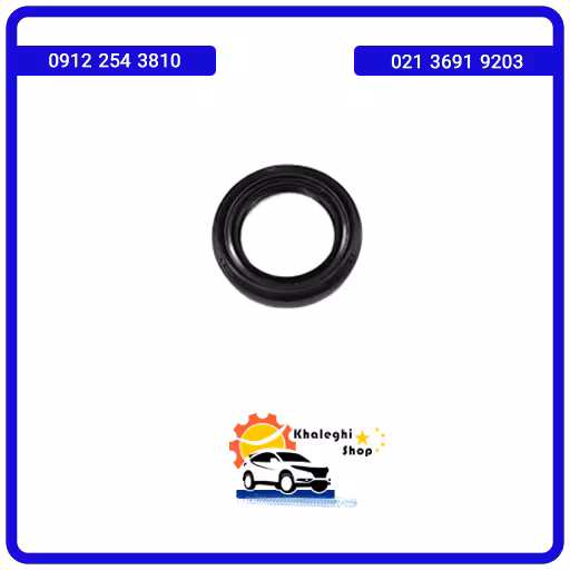 کاسه نمد پلوس ام وی ام X33