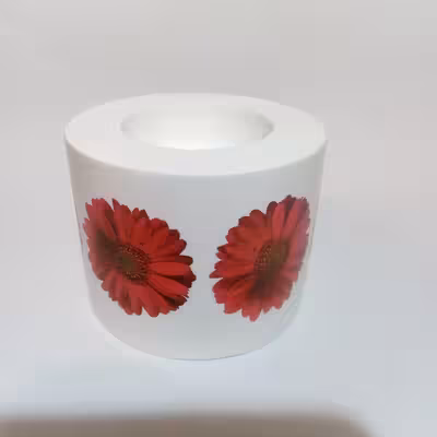 جاشمعی مدل 1000