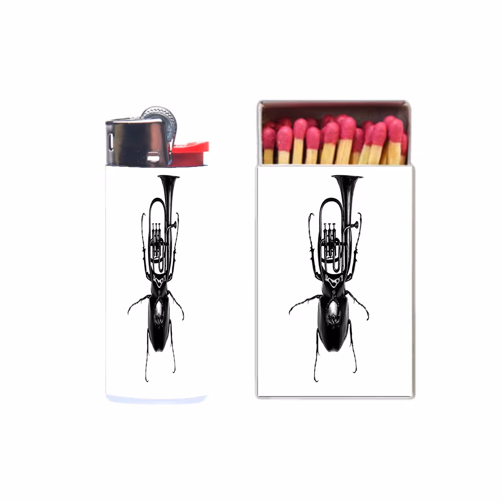 فندک مدل سوسک به همراه کبریت کد 884