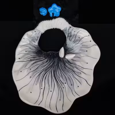 شیرینی خوری سرامیکی هیوا طرح نشان پرنده برجسته دسته دار کد 10999742