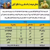 غذای جوجه اردک مدل آیلی کد 06 وزن 1000 گرم