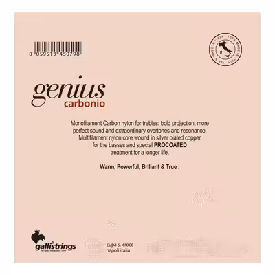 سیم گیتار کلاسیک گالی مدل کربن GR95