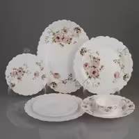 سرویس غذاخوری 25 پارچه آیروپال طرح دایره مدل سارا صورتی و آبی آرکوپال مقصود