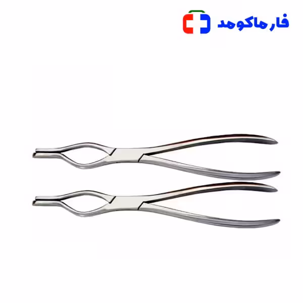 پنس والشام