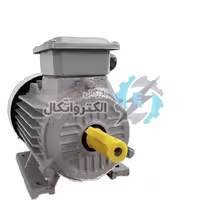 الکتروموتور ایده آل سه فاز 40 اسب 30 کیلووات پوسته چدن