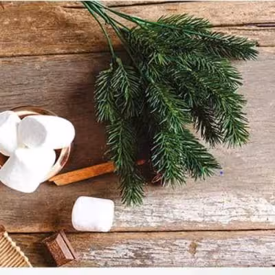 آبگیر کنار سینک