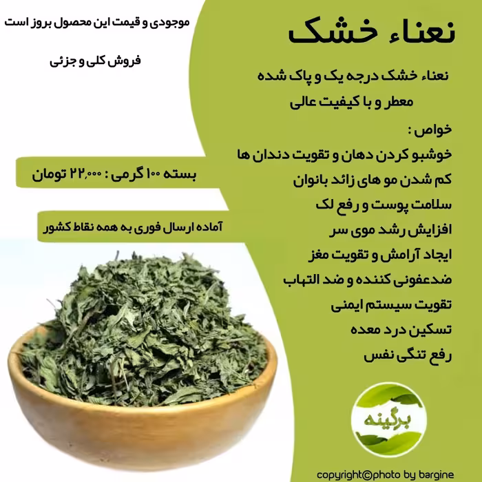 نعناء خشک درجه یک و پاک شده 100 گرمی