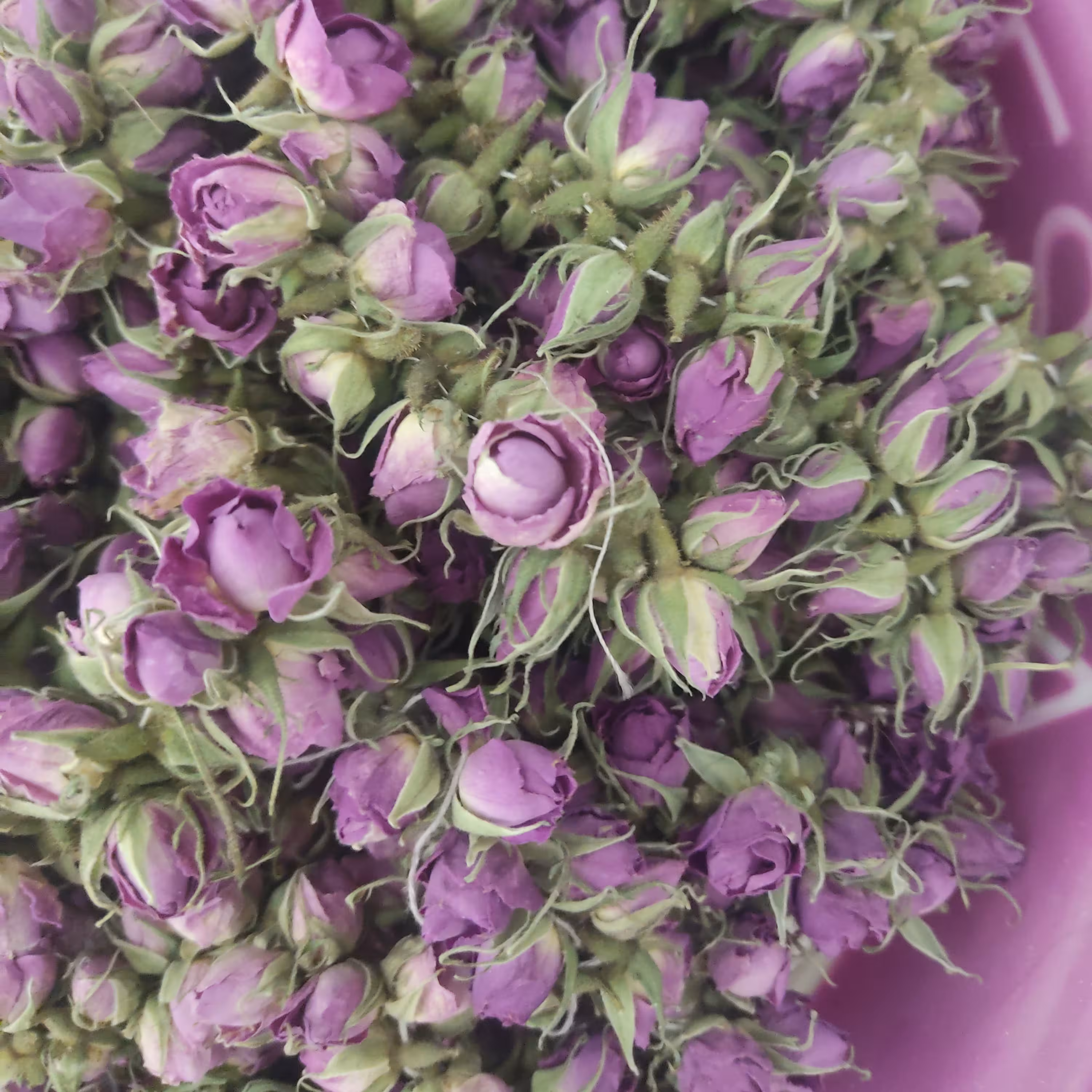 غنچه گل محمدی ریسه ای  تازه خشک شده(50گرمی)