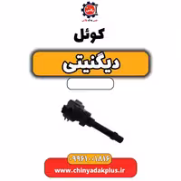 کوئل دیگنیتی