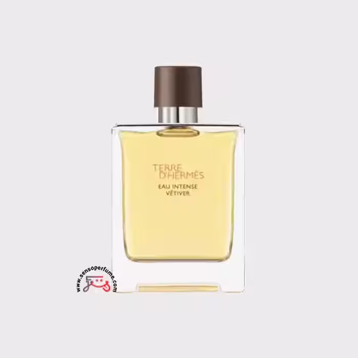 عطر ادکلن هرمس تق هرمس او اینتنس وتیور | hermes terre d’hermes eau intense vetiver