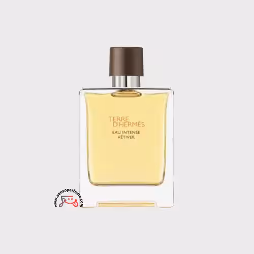 عطر ادکلن هرمس تق هرمس او اینتنس وتیور | hermes terre d’hermes eau intense vetiver