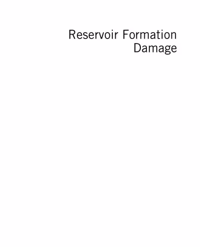 خرید و دانلود نسخه کامل کتاب Reservoir Formation Damage