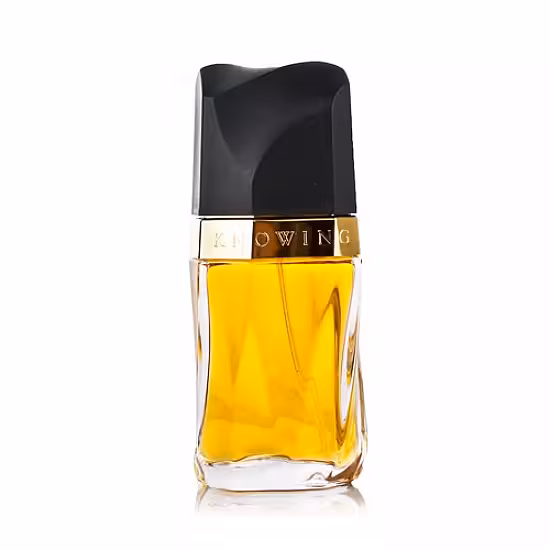 عطر استی لودر نویینگ