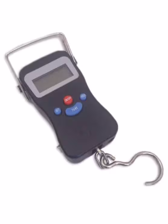 ترازوی دیجیتال50 کیلویی آویز کیا مدلDG8