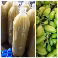 آبغوره محلی مازند مزرعه