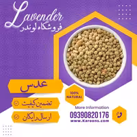 عدس سبز سورت شده ممتاز  (800گرمی) فروشگاه لوندر