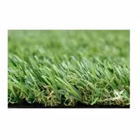 چمن مصنوعی 25 میلیمتری رویال