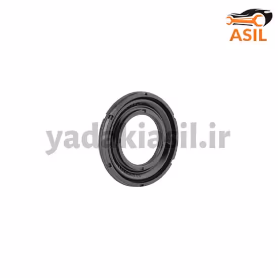 کاسه نمد ژامبون 206 تیپ 5 ورسی