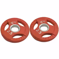 وزنه هالتر 2.5 کیلوگرم مدل STR بسته دو عددی | کالا مکس