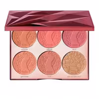 پالت رژگونه تارت اصل 6 رنگ Tarte Precious Gems