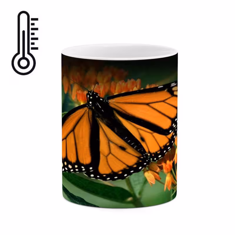 ماگ حرارتی   پروانه کد mgh17690