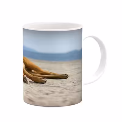 ماگ کاکتی طرح سگ مدل mgs15423