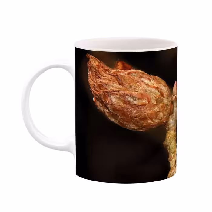 ماگ طرح شکوفه گل مدل mgs07767