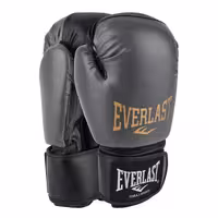 دستکش بوکس اورلست مدل Fiter pro 2025