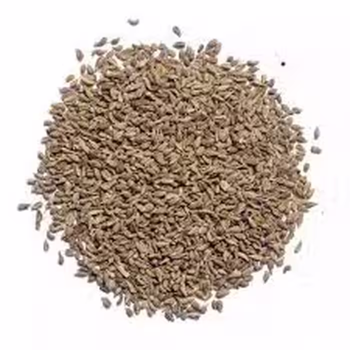 بذر هویچ    (10گرمی )