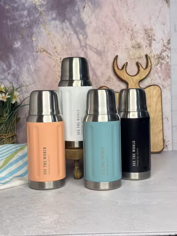 فلاسک see the world  کد 4046