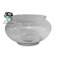 شیشه عدسی کوچک