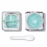 پرایمر یخی شیگلم