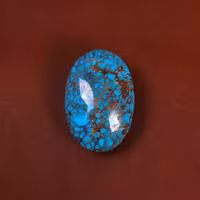 نگین فیروزه شجری کد 29490 - جواهری مشاهیر