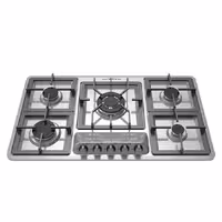 گاز صفحه ای رابیتس RS-516