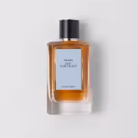 قیمت و خرید عطر زنانه پرادا مدل Olfactories - Day For Night EDP 100 ml اورجینال