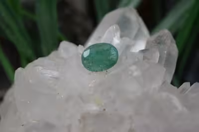 زمرد زامبیا