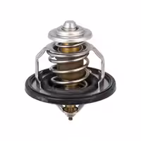 ترموستات بستیون NAT