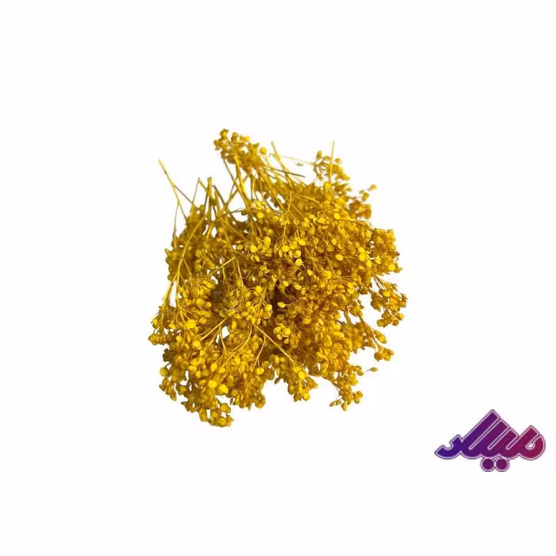 گل خشک درختی زرد G95