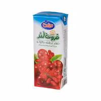 نکتار زرشک و آلبالو فروت لند میهن 200 میلی لیتری